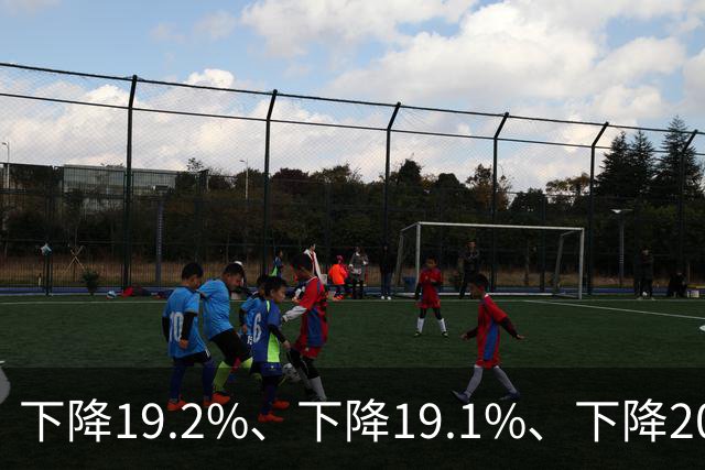 下降19.2%、下降19.1%、下降20.3%，房地产市场“下降”数据触目惊心